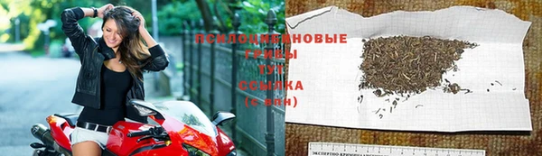 мдпв Волосово