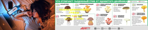 мдпв Волосово